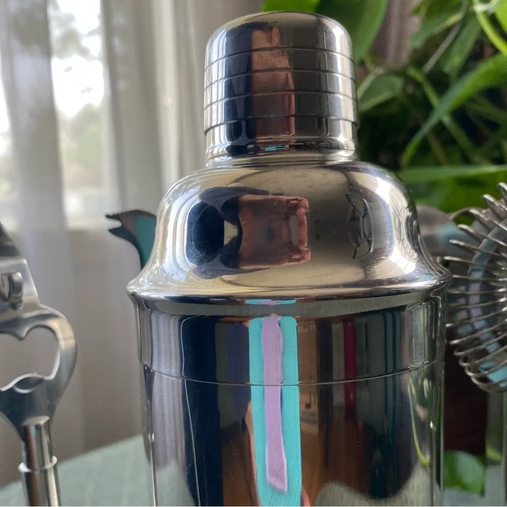 Pier 1 Imports Stainless Steel Cocktail Mixer Bar 6 piece Tool Set - Picture 5 of 11